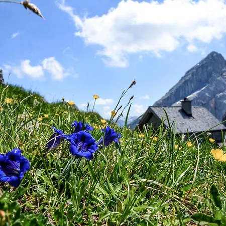 Haus BergGesundZeit Doppelzimmer Kärlingerhaus-2